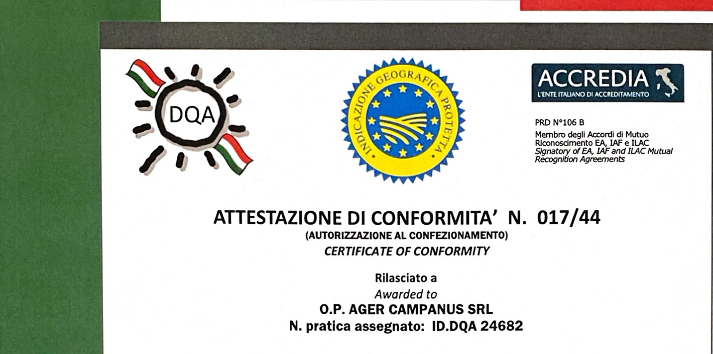 Attestazione di conformità DQA